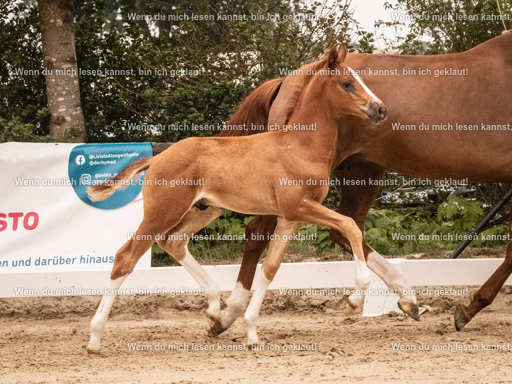 A10I0697 | photographylinaismer - Realisiert mit Pictrs.com