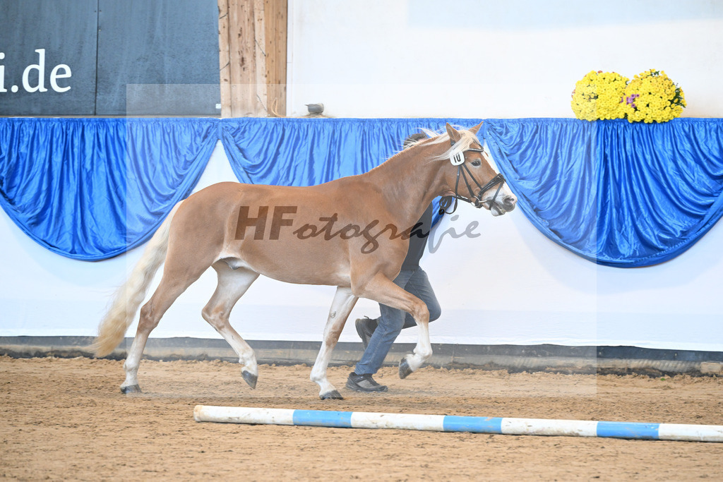 Kat-Nr. 10 Ellenborns Atemlos v. Abendwind_Schwarz_48250887 | hf-fotografie - Realisiert mit Pictrs.com