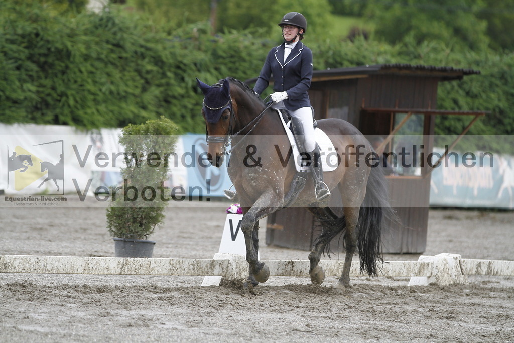 _MG_2302 | equestrian-live-com