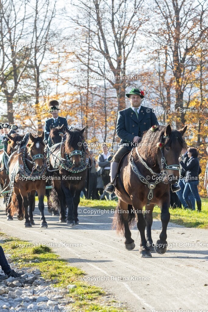 LBT24-1191 | foto-bettina-krinner - Realisiert mit Pictrs.com