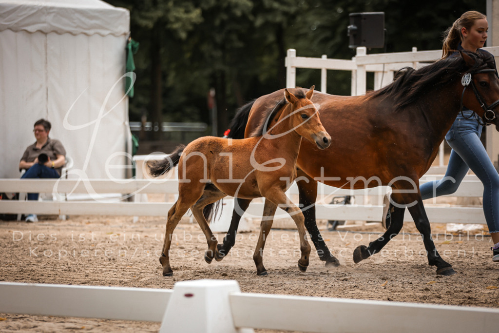 02.DoSR00077 | Leoni Ertmer Photography - Realisiert mit Pictrs.com