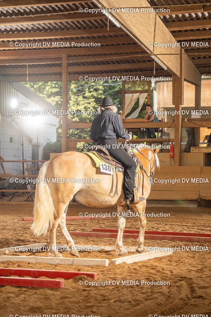 NID02540 | dv-media-shop - Realisiert mit Pictrs.com