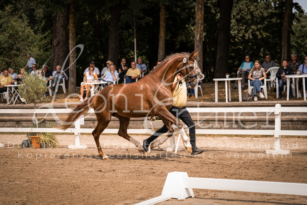 2. Fr00007 | Leoni Ertmer Photography - Realisiert mit Pictrs.com