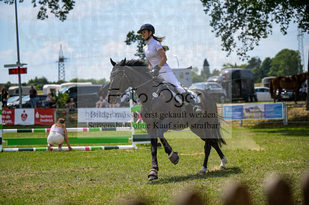Reitturnier Voxtrup | Entdecke hochwertige Reitturnierfotos von Foto Oger. Professionell, emotional und authentisch – jetzt Lieblingsmomente im Shop bestellen.Deutschlandweite Turnierfotografie. - Realisiert mit Pictrs.com