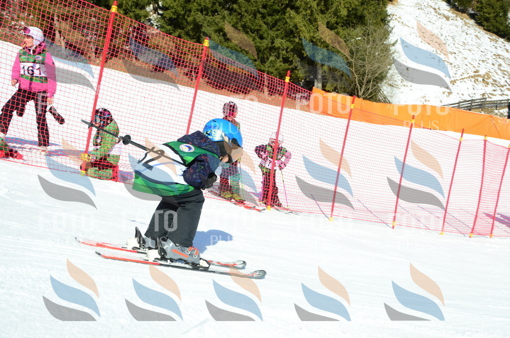 C4919 | holidayphoto