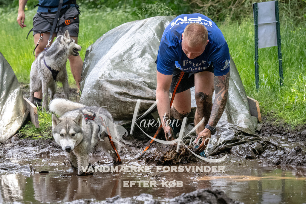 1251_ZZ93969 | kk-dogfotos