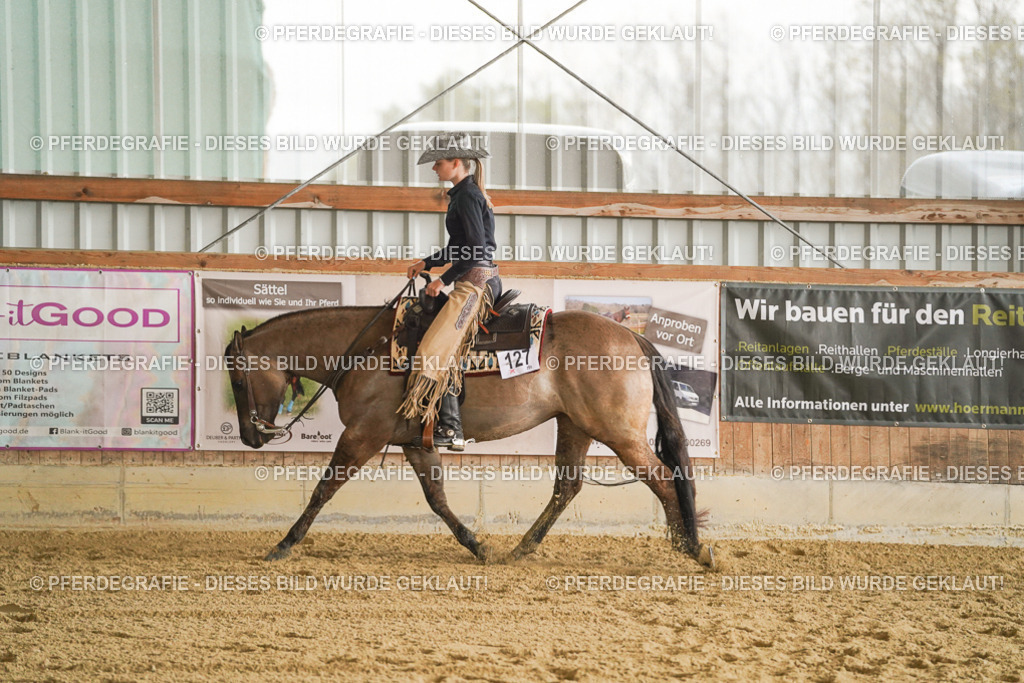 DSC07497 | Pferdegrafie