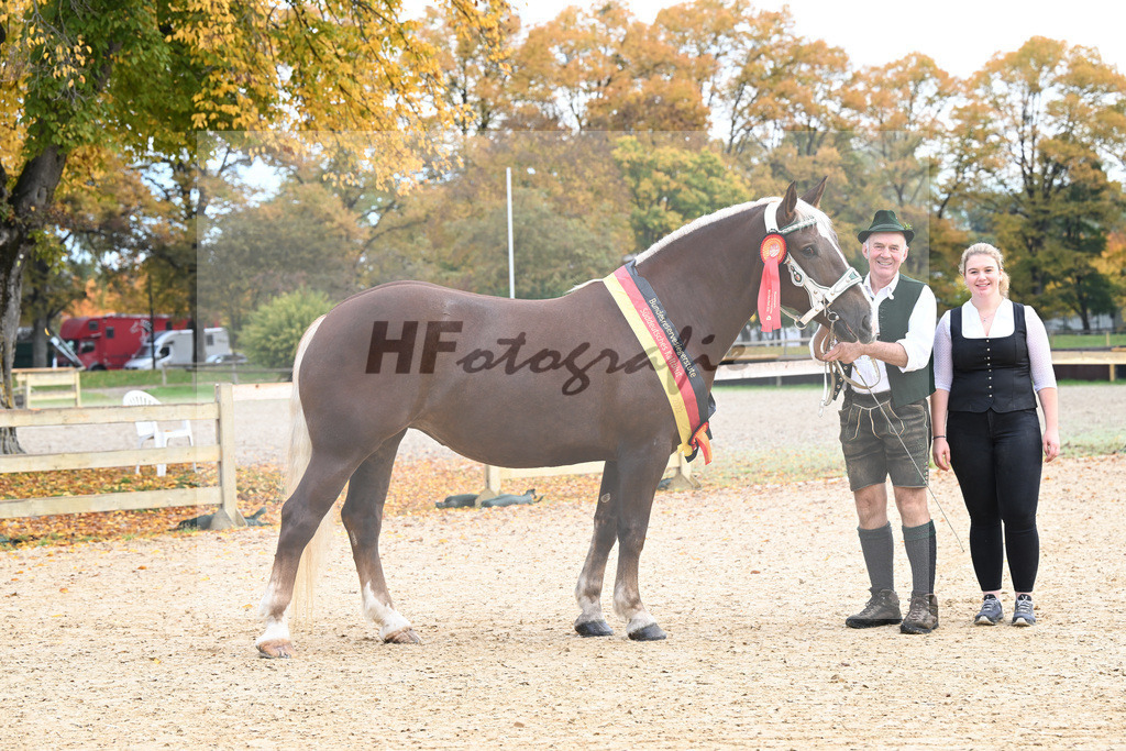 Kat-Nr. 56 Monamour_Buechl_53223016 | hf-fotografie - Realisiert mit Pictrs.com