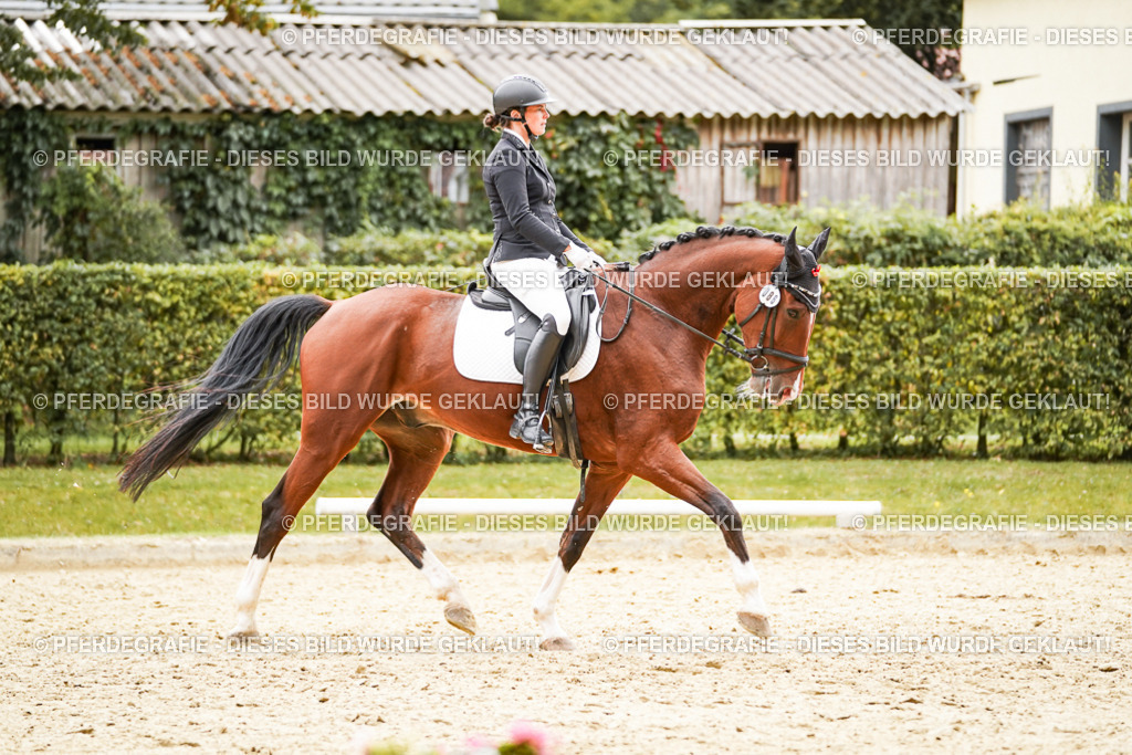 DSC03287 | Pferdegrafie