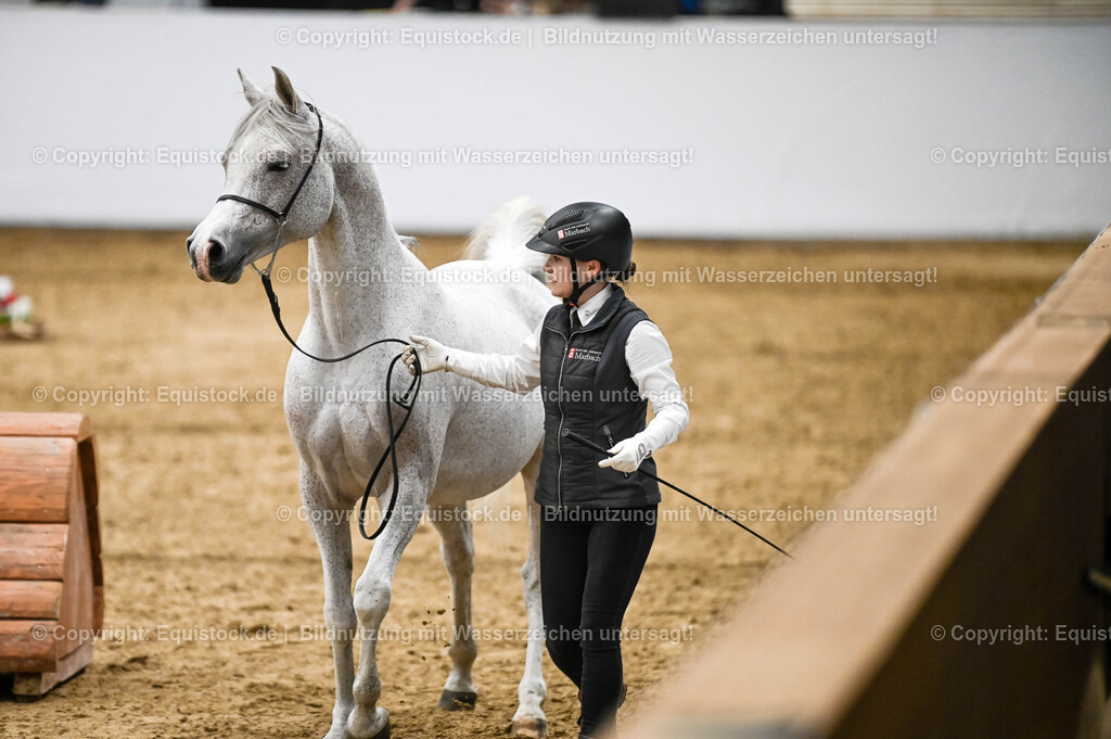 20260307_Hengstvorstellung-Marbach_0435 | equistock