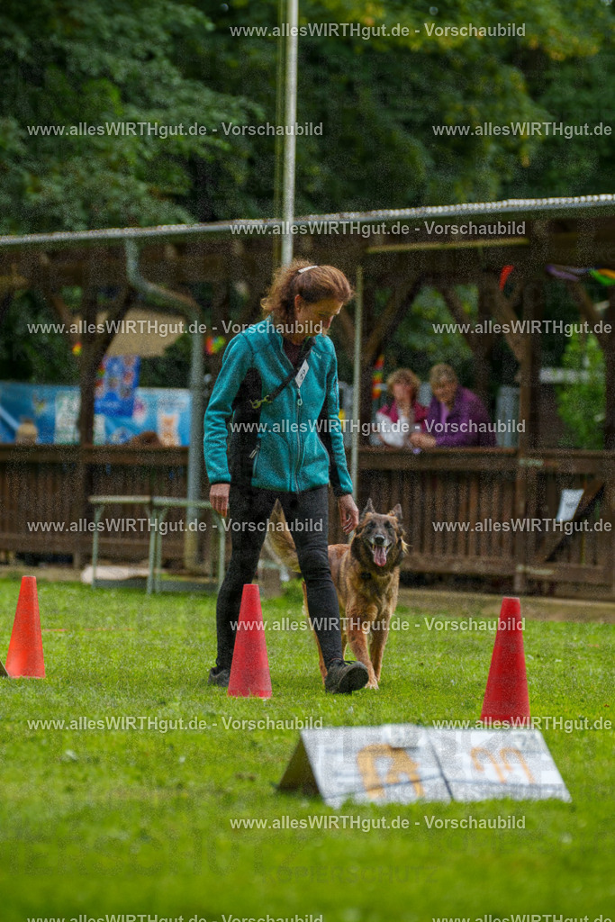 @allesWIRTHgut_Tierfotografie - www.allesWIRTHgut.de - 102124-7R508391 | Professionelle Tierfotografie in Mönchengladbach von Daniel Wirth (allesWIRTHgut). Liebevolle & natürliche Bilder von Hunden & Katzen für unvergessliche Erinnerungen.