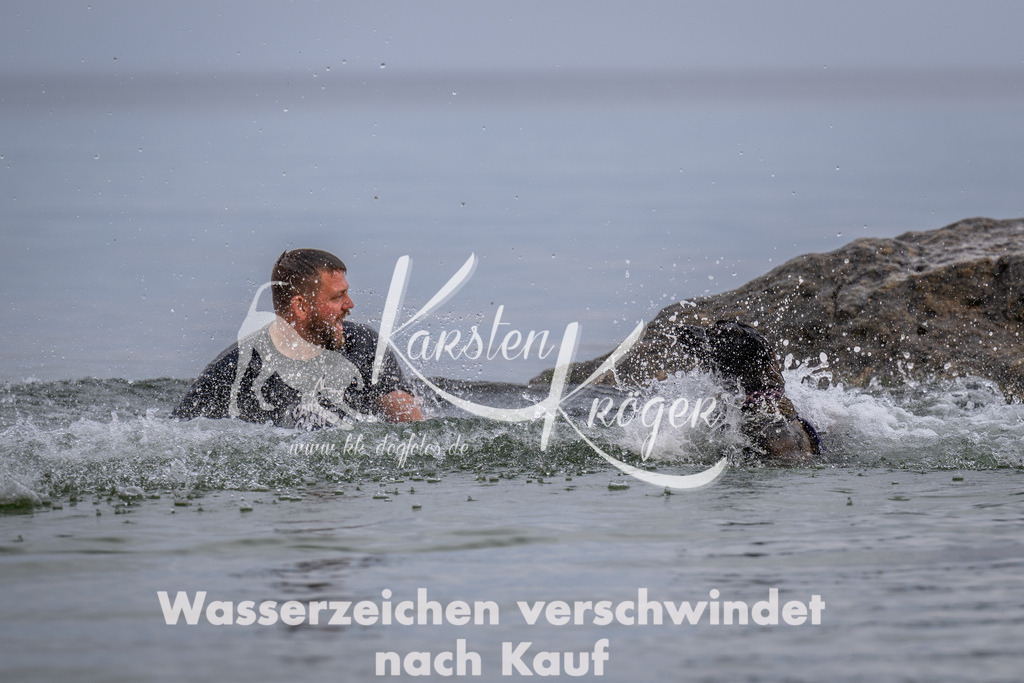 1224_ZZ91575 | kk-dogfotos