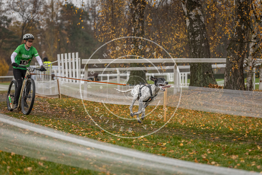 CaniXpix_DV3A7883 | Hundefotografie, Tierfotograf, Pfotenfotografie, Fotoshooting Hund, Hunde Portrait, Hundesport, Hundeportraits, Heideshooting, Hunde, Sportfotograf, Hundefotograf, Turnierhundsport, THS,  - Realisiert mit Pictrs.com
