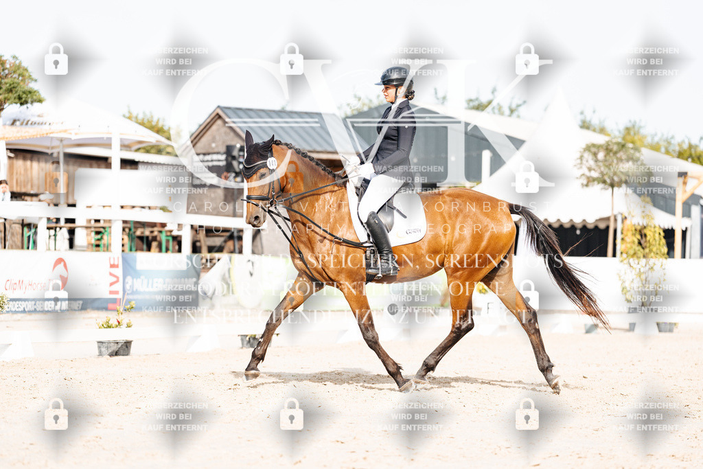 CK904964 | Turnierfotografie Pferdefotografie Trier Rheinland-Pfalz Pferdesport Reitsport Tierfotografie Sportfotografie Pferdevideo Pferdevideografie Equestrianvideography equestrianphotography  - Realisiert mit Pictrs.com