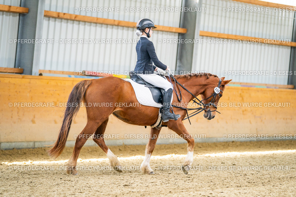 DSC02822 | Pferdegrafie