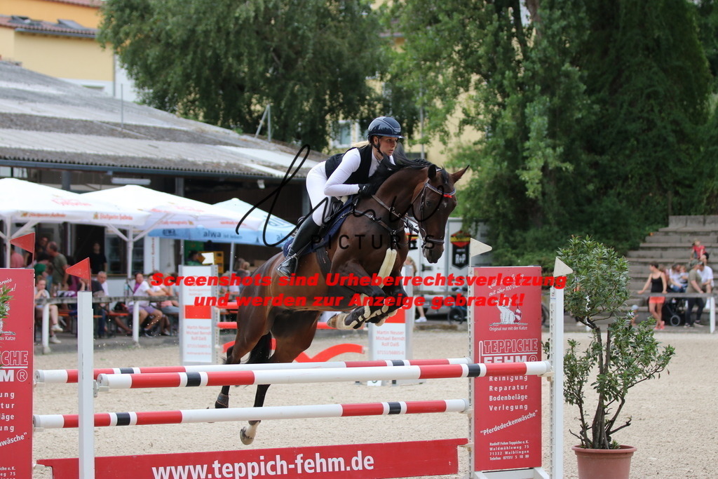 IMG_2309 | lmwpictures - Realisiert mit Pictrs.com