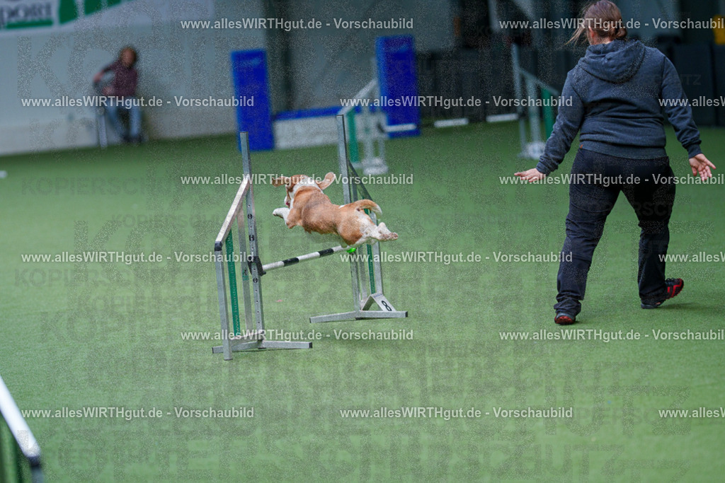 @allesWIRTHgut_Tierfotografie - www.allesWIRTHgut.de - 2604261115-7R509388 | Professionelle Tierfotografie in Mönchengladbach von Daniel Wirth (allesWIRTHgut). Liebevolle & natürliche Bilder von Hunden & Katzen für unvergessliche Erinnerungen.