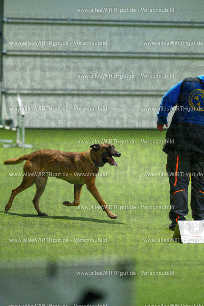 7R507525 | Professionelle Tierfotografie in Mönchengladbach von Daniel Wirth (allesWIRTHgut). Liebevolle & natürliche Bilder von Hunden & Katzen für unvergessliche Erinnerungen.