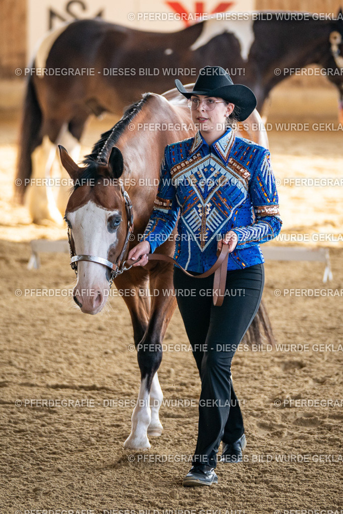 DSC07369 | Pferdegrafie