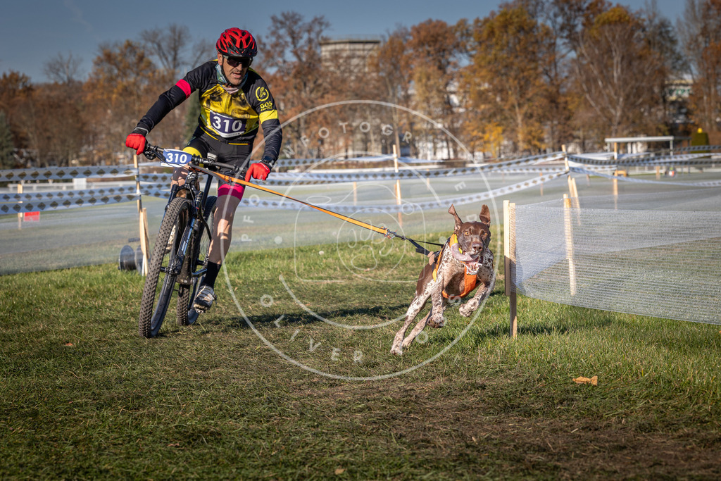 CaniXpix_0L8A5557 | Hundefotografie, Tierfotograf, Pfotenfotografie, Fotoshooting Hund, Hunde Portrait, Hundesport, Hundeportraits, Heideshooting, Hunde, Sportfotograf, Hundefotograf, Turnierhundsport, THS,  - Realisiert mit Pictrs.com
