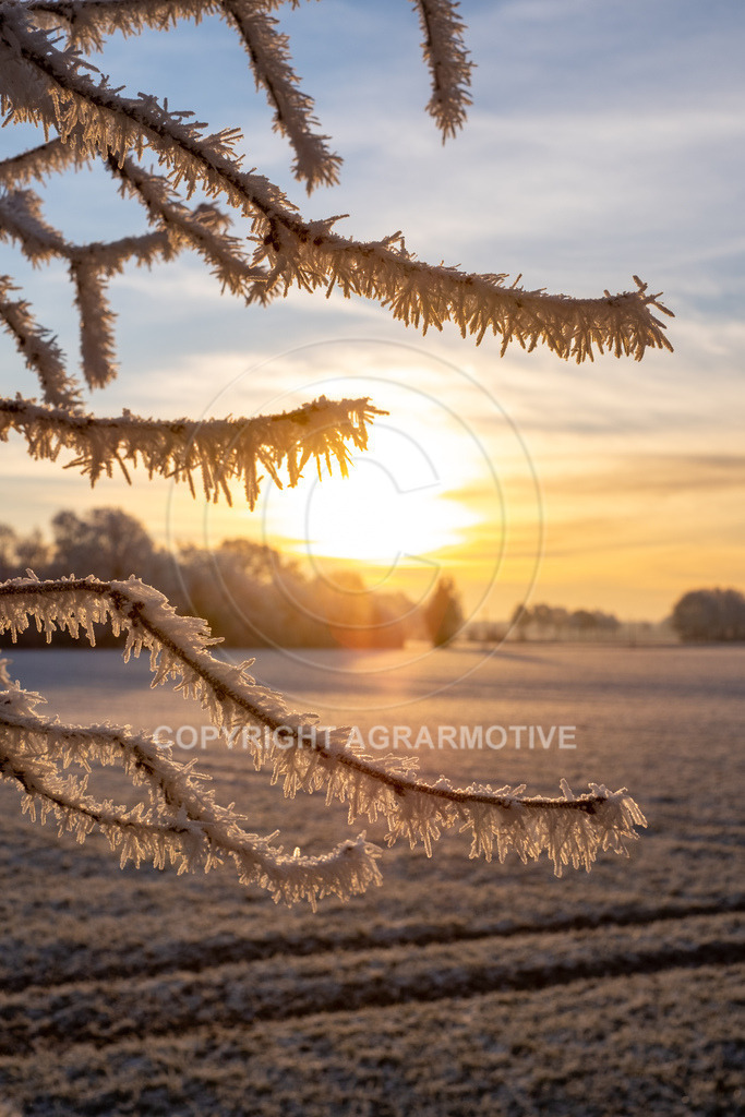 20221218-_DSF2471 | Schneebedeckte Landschaft bei eisiger Kälte - Realisiert mit Pictrs.com