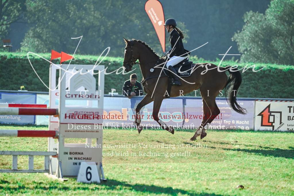 DSC_4515 | Pferde- und Turnierfotografie in Westsachsen. Pferdeportraits, Auftragszeichnungen und intuitive Kunst.