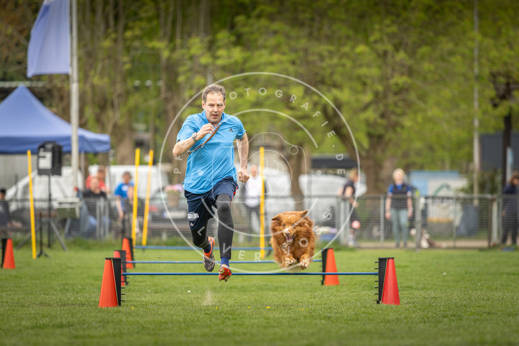 Pfotenfotografie_DV3A8234 | Hundefotografie, Tierfotograf, Pfotenfotografie, Fotoshooting Hund, Hunde Portrait, Hundesport, Hundeportraits, Heideshooting, Hunde, Sportfotograf, Hundefotograf, Turnierhundsport, THS,  - Realisiert mit Pictrs.com