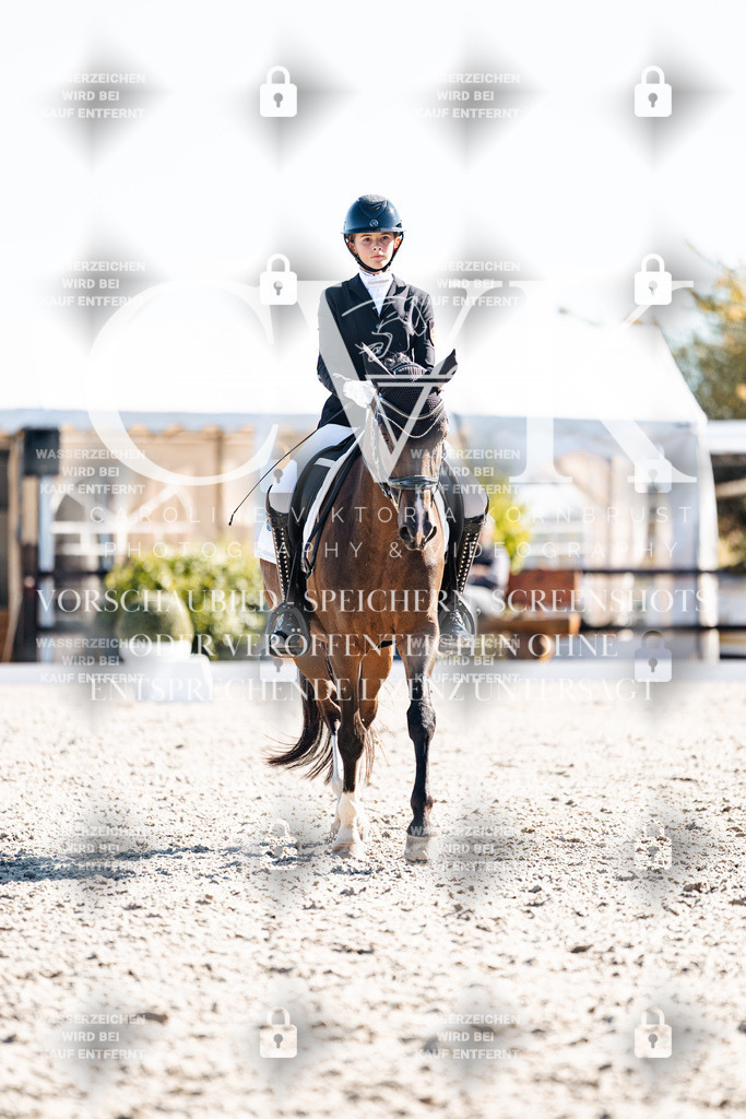 CK908590 | Turnierfotografie Pferdefotografie Trier Rheinland-Pfalz Pferdesport Reitsport Tierfotografie Sportfotografie Pferdevideo Pferdevideografie Equestrianvideography equestrianphotography  - Realisiert mit Pictrs.com