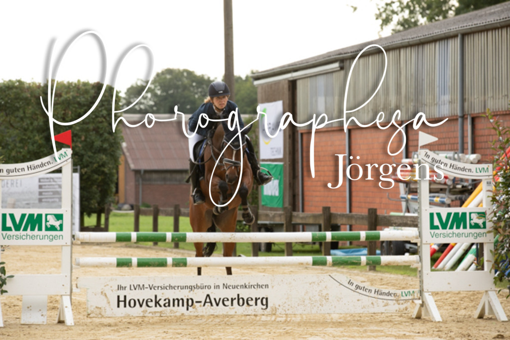 IMG_6539 | photographesa-joergens - Realisiert mit Pictrs.com