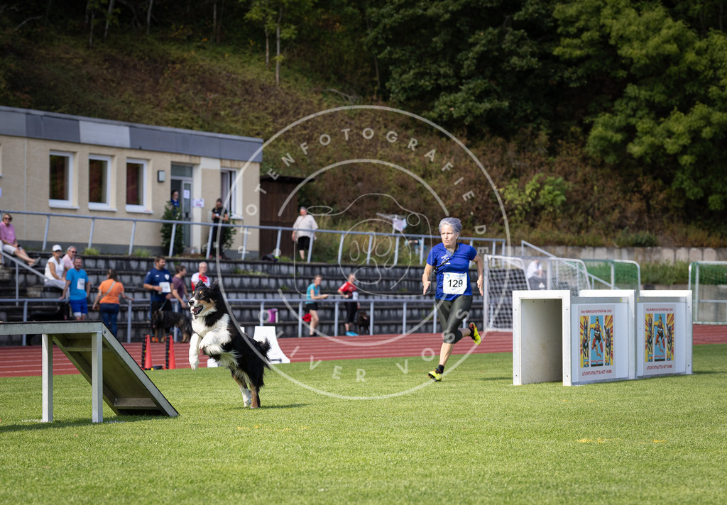 Pfotenfotografie_DV3A8729 | Hundefotografie, Tierfotograf, Pfotenfotografie, Fotoshooting Hund, Hunde Portrait, Hundesport, Hundeportraits, Heideshooting, Hunde, Sportfotograf, Hundefotograf, Turnierhundsport, THS,  - Realisiert mit Pictrs.com