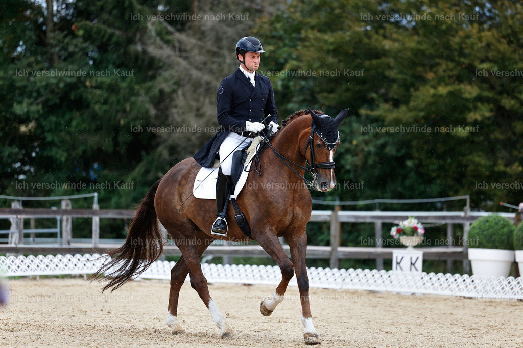 10-015-ST.GEORG SPECIAL -StoibPH-3207 | working equitationturnier fotograf videograf stoibphotography marixx film working equitation deutschland reitsport turnierfotografie eventfotografie equestrian events