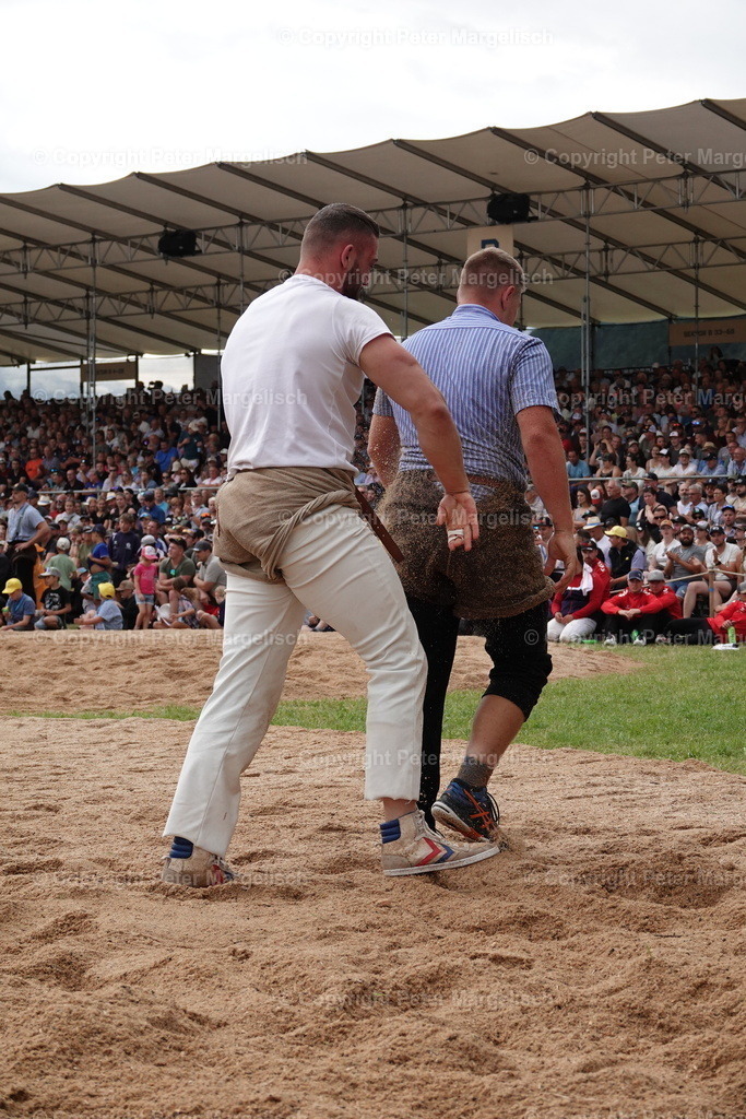 DSC01333 | Schwingen - Realisiert mit Pictrs.com