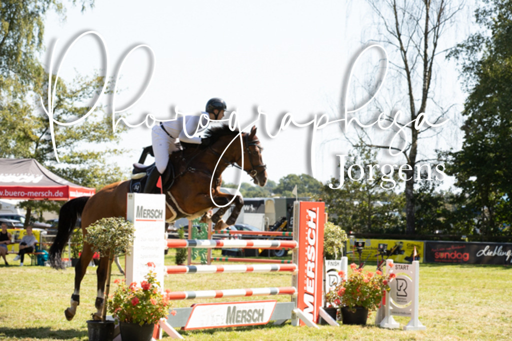 IMG_9112 | photographesa-joergens - Realisiert mit Pictrs.com