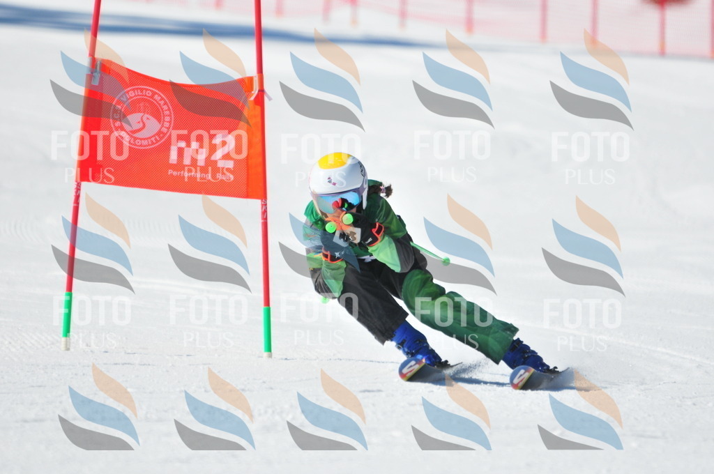 C3226 | holidayphoto