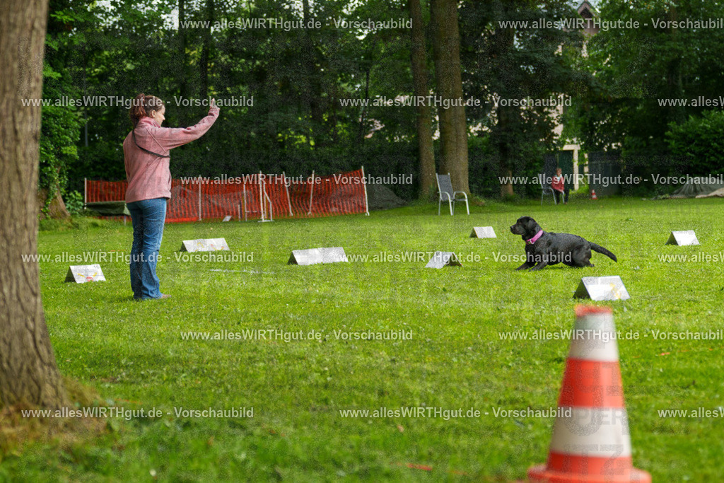 @allesWIRTHgut_Tierfotografie - www.allesWIRTHgut.de - 7R503133 | Professionelle Tierfotografie in Mönchengladbach von Daniel Wirth (allesWIRTHgut). Liebevolle & natürliche Bilder von Hunden & Katzen für unvergessliche Erinnerungen.