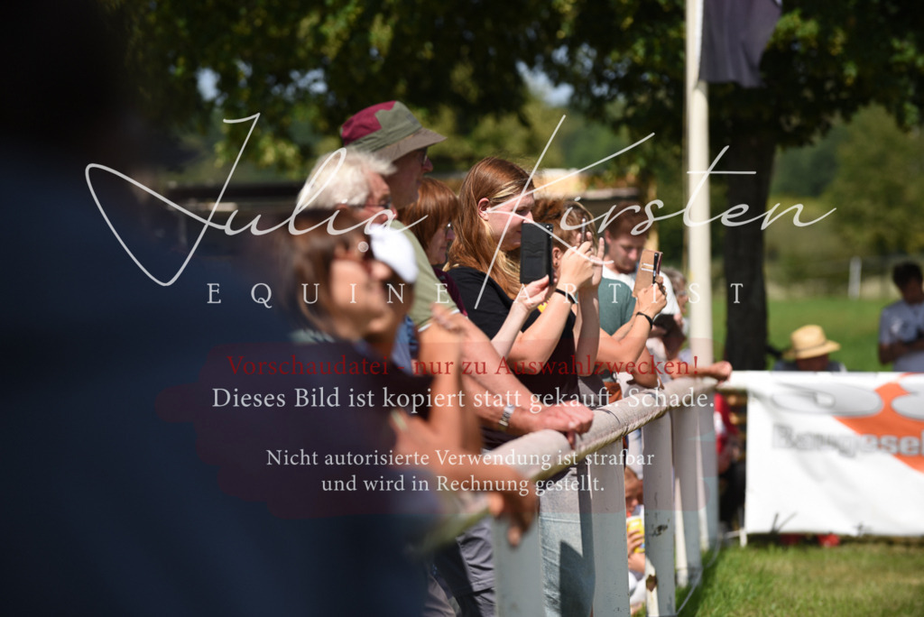 DSC_0135 | Pferde- und Turnierfotografie in Westsachsen. Pferdeportraits, Auftragszeichnungen und intuitive Kunst.