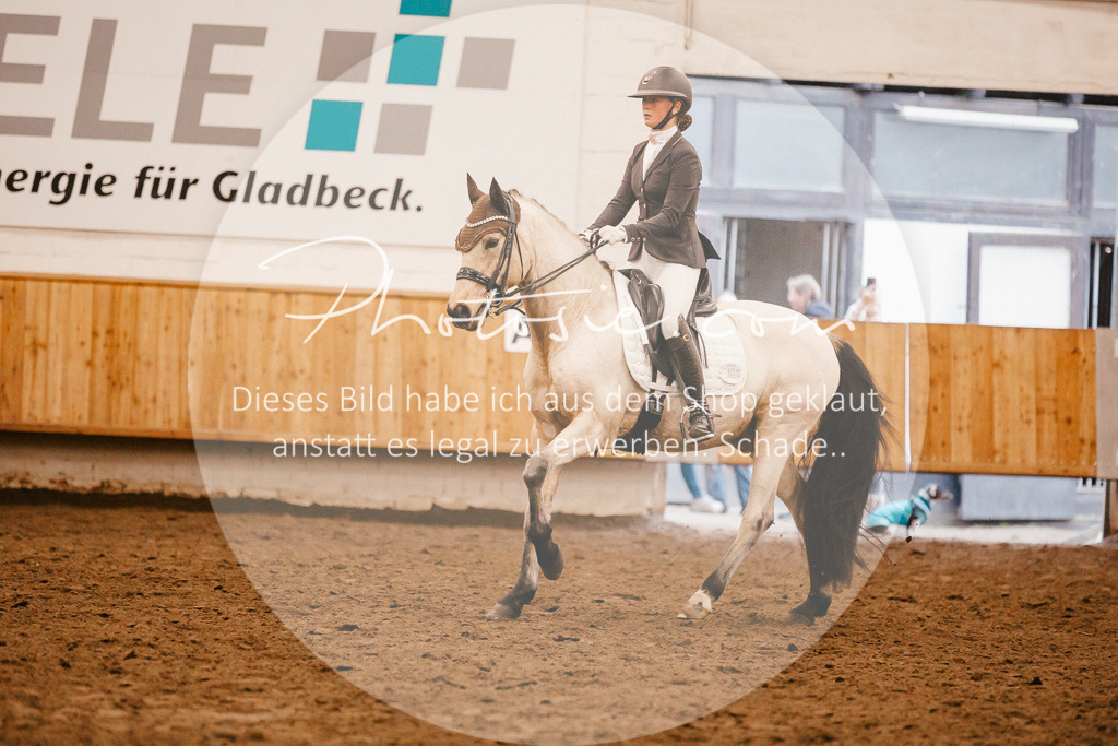 3I6A6833 | Stimmungsvolle Portraits und Reitsportfotografie im Ruhrgebiet und im Münsterland.

Pferdefotografie, Hundefotografie, Tierfotografie, Reportagen, Portraits von Tier und Mensch, Turnierfotografie in Bochum, Recklinghausen, Marl, Haltern am See, Dülmen.. - Realisiert mit Pictrs.com