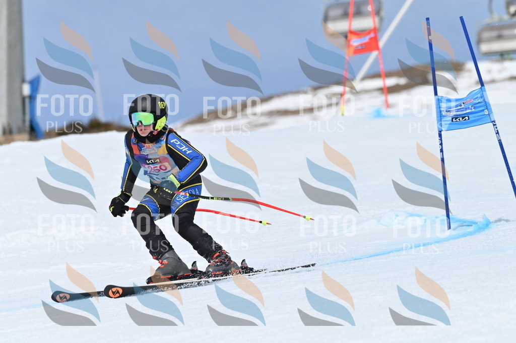 BGV_1884 | holidayphoto