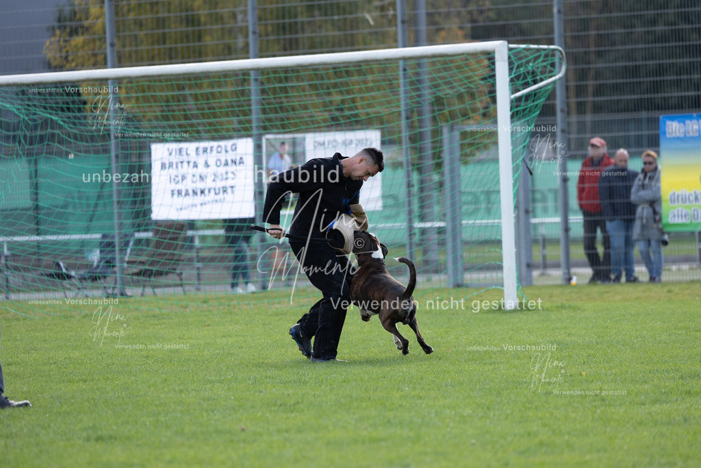 _16A6509 | Einzigartige Fotos von Hunden & Menschen –Actionfotos, Portraits, Vereinsaufnahmen & Paarshootings – authentisch, lebendig & mit Herz.