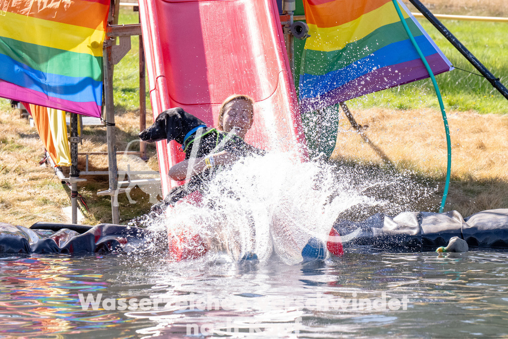 1207_ZZ90786 | kk-dogfotos
