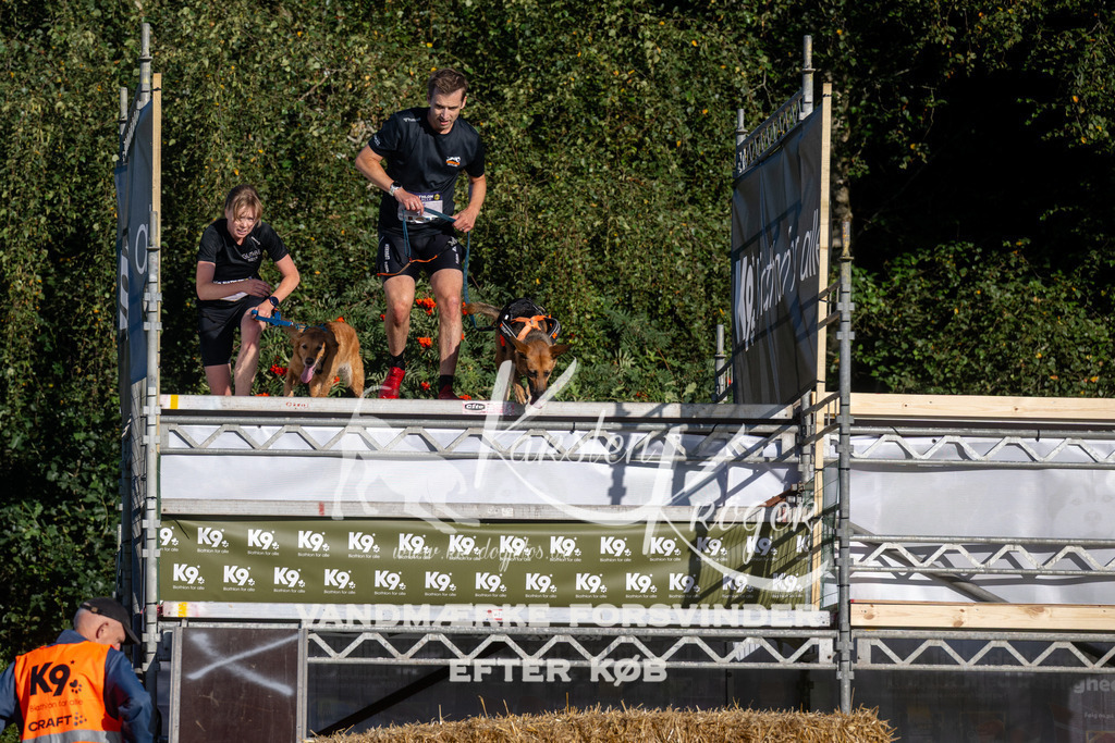 0814_ZZ92772 | kk-dogfotos