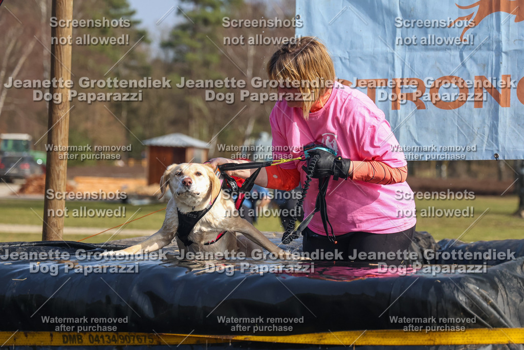 Dog Paparazzi - Strongdog North Mrz26-2463 | Dog Paparazzi Jeanette Grottendiek Fotografie & Videografie - Realisiert mit Pictrs.com