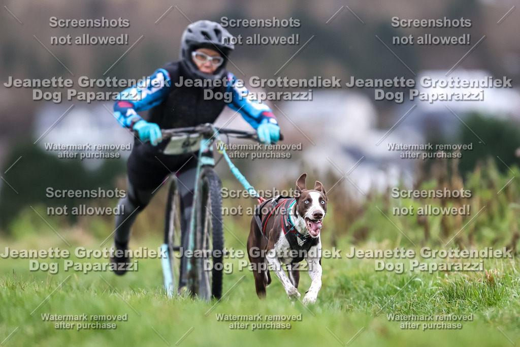 Dog Paparazzi - Herkules Race  2025-24 | Dog Paparazzi Jeanette Grottendiek Fotografie & Videografie - Realisiert mit Pictrs.com