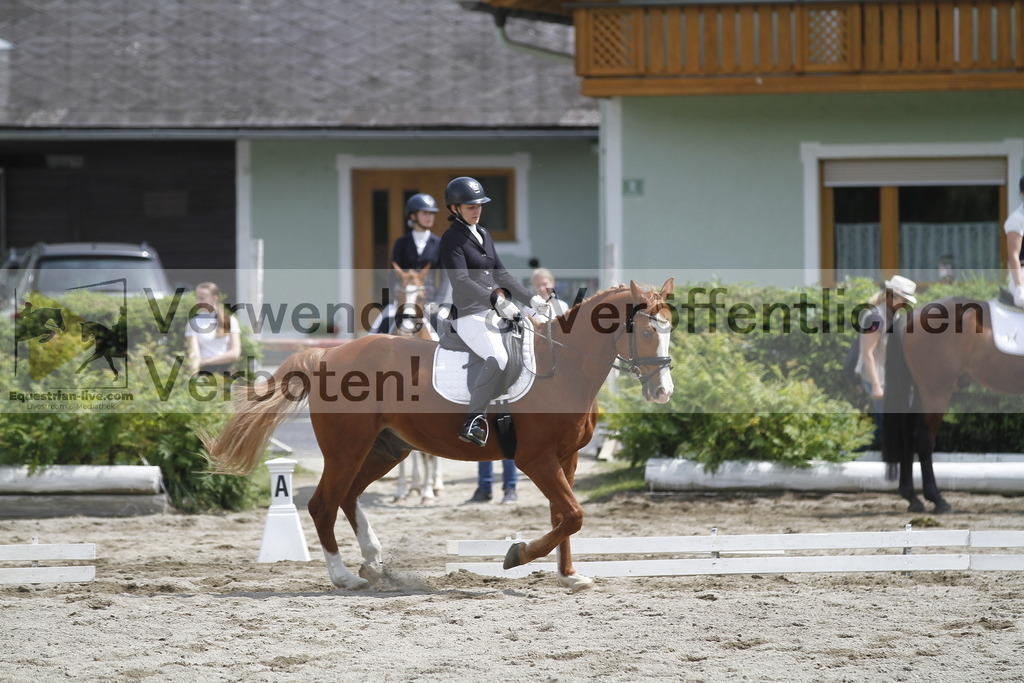 _MG_8684 | equestrian-live-com
