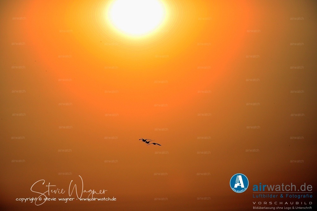 _MG_9117 | Entdecken Sie atemberaubende Luftbilder und Fotografien auf airwatch.de - Tauchen Sie ein in eine Welt voller faszinierender Aufnahmen aus der Vogelperspektive.