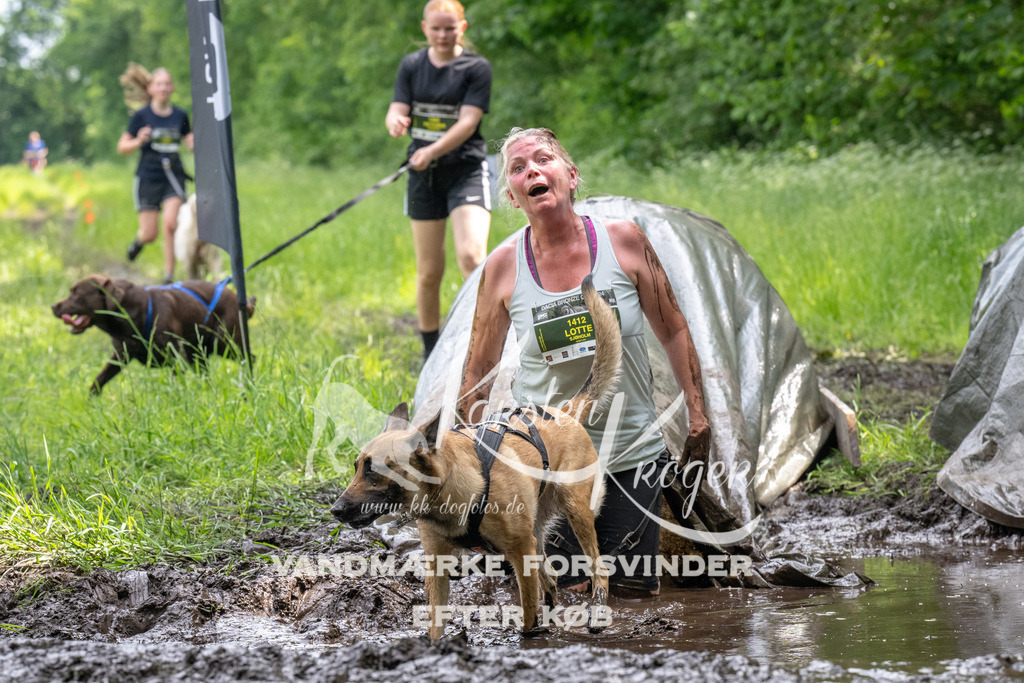 1250_ZZ93787 | kk-dogfotos