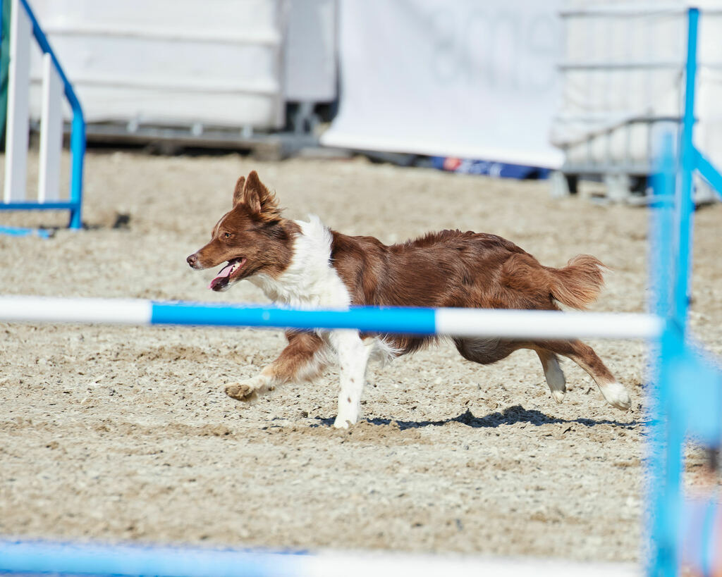 580A0177 | Peter Fridle Fotografie - Realisiert mit Pictrs.com