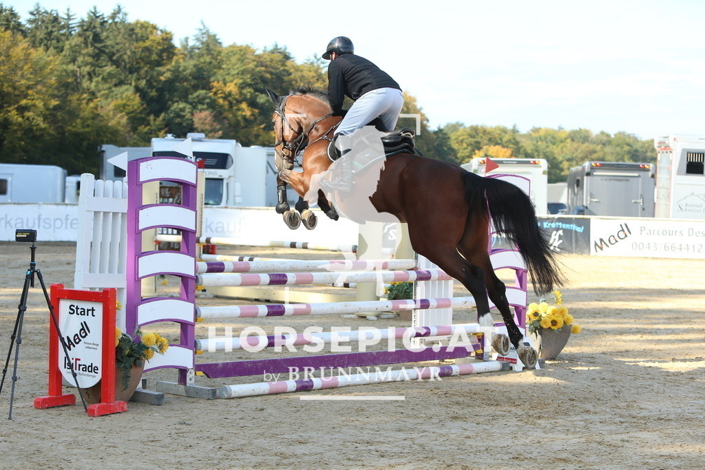 DL2Q4941 | Willkommen bei Brunnmayr - Design & Fotografie – Ihrem Spezialisten für Reitturniere und Pferdeveranstaltungen in Oberösterreich, Salzburg und Bayern! Seit über 17 Jahren sind wir leidenschaftlich dabei.