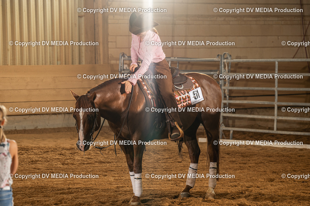 NID01319 | dv-media-shop - Realisiert mit Pictrs.com