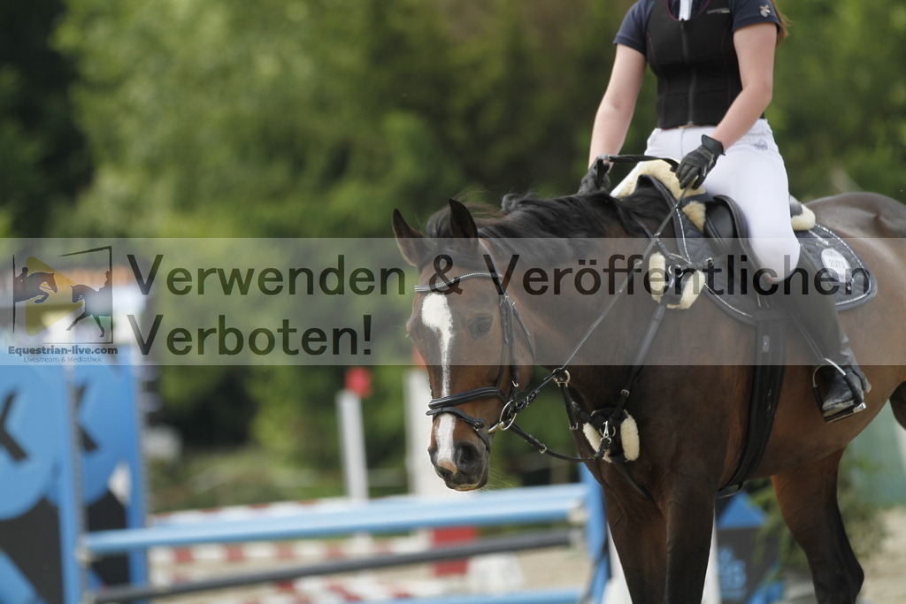 _MG_5778 | equestrian-live-com